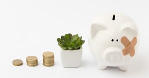 Cashflow Forecast for MYOB Greentree